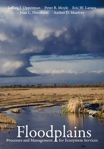 Floodplains cover