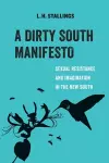 A Dirty South Manifesto cover