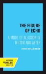 The Figure of Echo cover