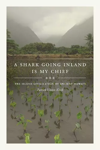 A Shark Going Inland Is My Chief cover