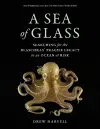 A Sea of Glass cover