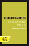 Disjoined Partners cover