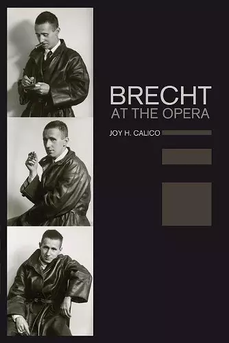 Brecht at the Opera cover