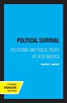 Political Survival cover