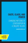 Caste, Class, and Power cover