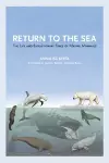 Return to the Sea cover