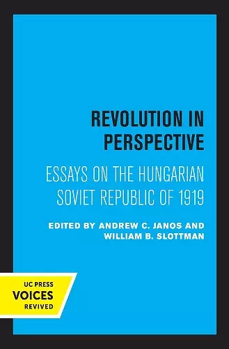 Revolution in Perspective cover