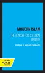 Modern Islam cover