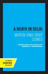 A Death in Delhi cover