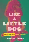 Like a Little Dog cover