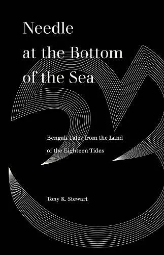 Needle at the Bottom of the Sea cover