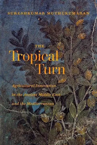 The Tropical Turn cover