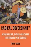 Radical Sovereignty cover