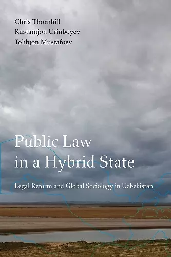 Public Law in a Hybrid State cover
