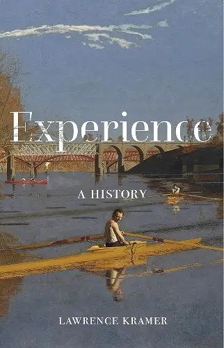 Experience cover