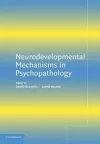 Neurodevelopmental Mechanisms in Psychopathology cover