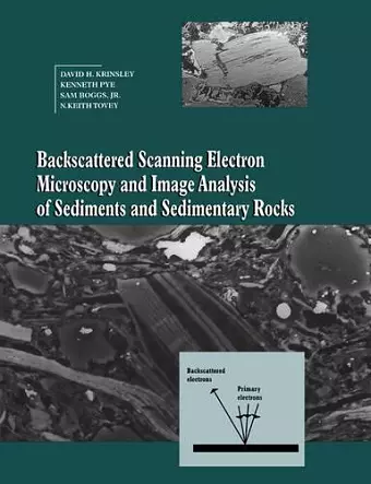 Backscattered Scanning Electron Microscopy and Image Analysis of Sediments and Sedimentary Rocks cover