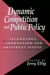 Dynamic Competition and Public Policy cover