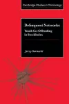 Delinquent Networks cover