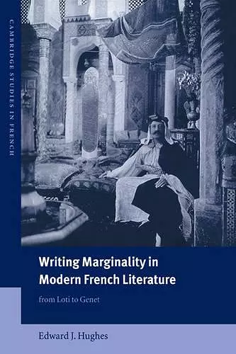 Writing Marginality in Modern French Literature cover