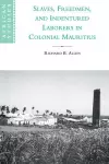 Slaves, Freedmen and Indentured Laborers in Colonial Mauritius cover