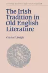 The Irish Tradition in Old English Literature cover