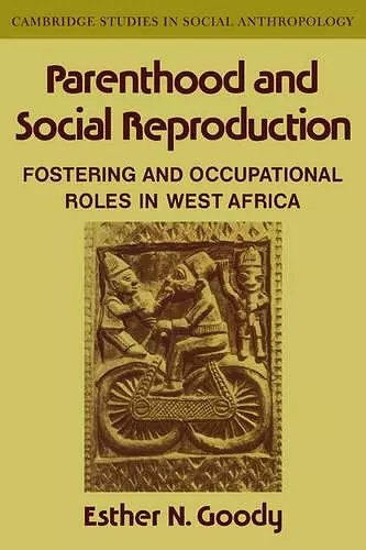 Parenthood and Social Reproduction cover