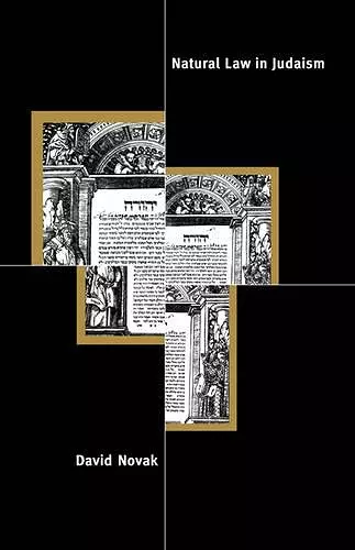 Natural Law in Judaism cover