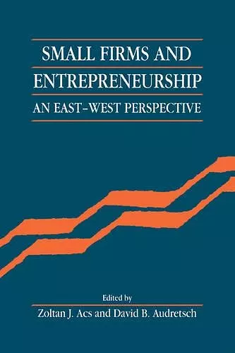 Small Firms and Entrepreneurship cover