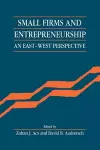 Small Firms and Entrepreneurship cover