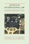 Justice in International Law cover