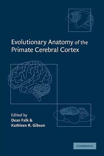 Evolutionary Anatomy of the Primate Cerebral Cortex cover