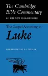 The Gospel according to Luke cover