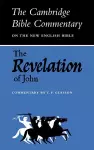 The Revelation of John cover