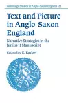 Text and Picture in Anglo-Saxon England cover