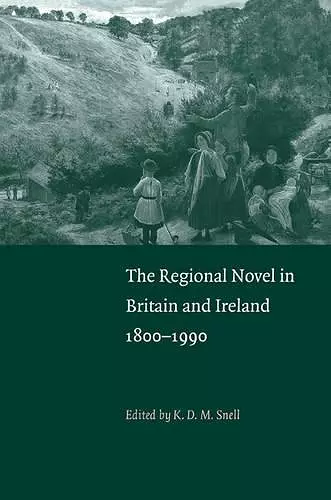 The Regional Novel in Britain and Ireland cover