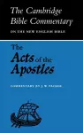 The Acts of the Apostles cover