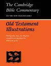 Old Testament Illustrations cover