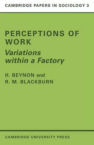 Perceptions of Work cover