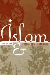 Islam and Postcolonial Narrative cover