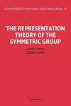 The Representation Theory of the Symmetric Group cover