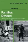 Families Divided cover