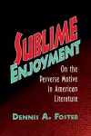 Sublime Enjoyment cover