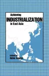 Achieving Industrialization in East Asia cover