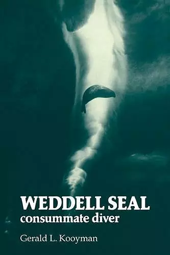 Weddell Seal cover