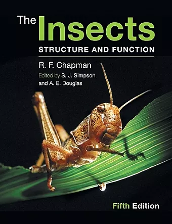 The Insects cover