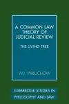 A Common Law Theory of Judicial Review cover