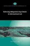 Enforcing Obligations Erga Omnes in International Law cover