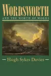 Wordsworth and the Worth of Words cover