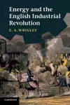 Energy and the English Industrial Revolution cover